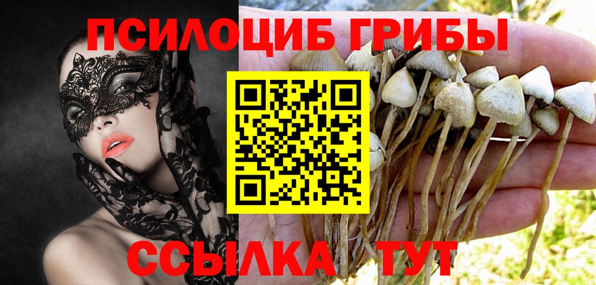 Волжск  наркошоп  Вход с VPN  Псилоцибиновые грибы прущие грибы 